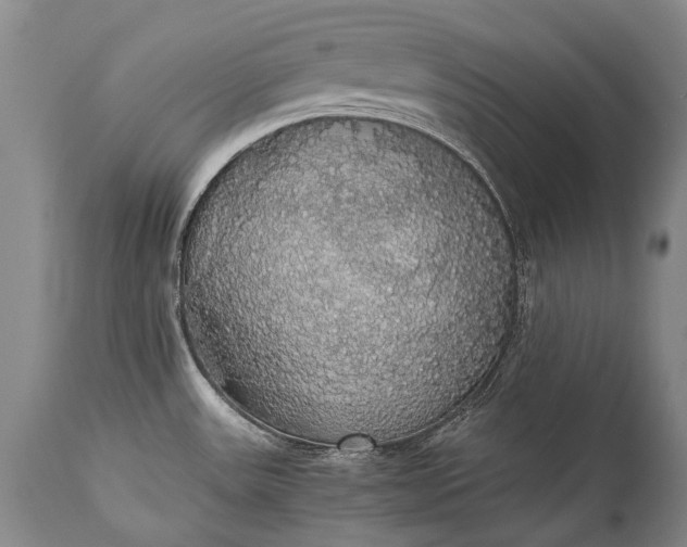 X0000115341531200911161820