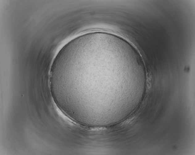 X0000115341535200911161821