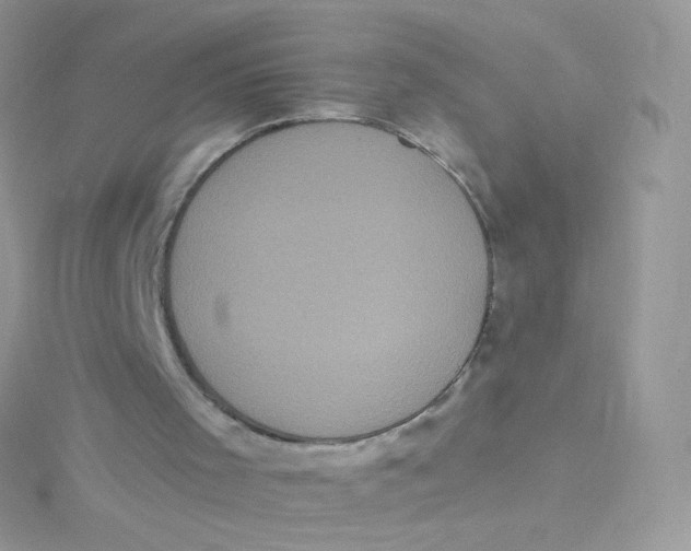 X0000115340001200911231443