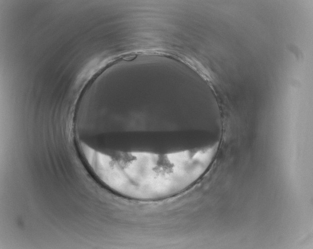 X0000115340002200911231443