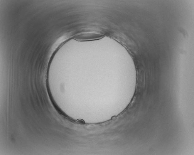 X0000115340003200911231443