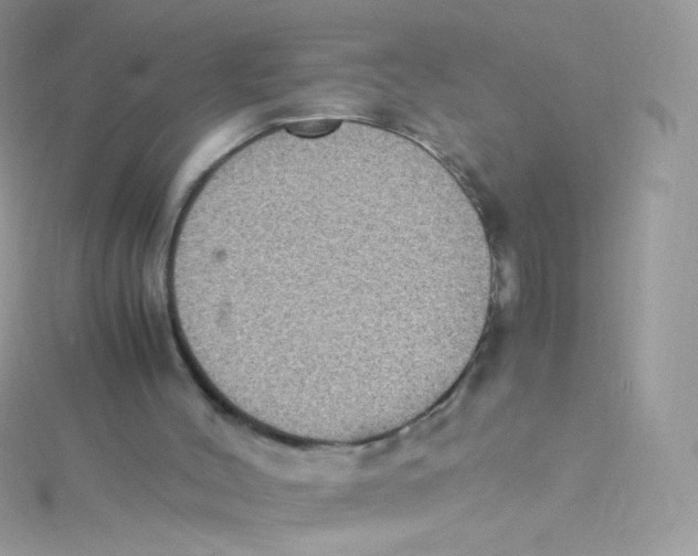 X0000115340004200911231442