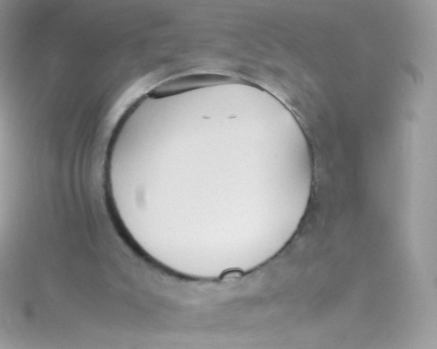 X0000115340007200911231442