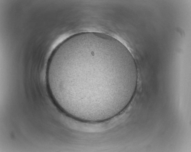 X0000115340008200911231442