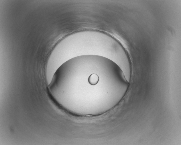 X0000115340009200911231442