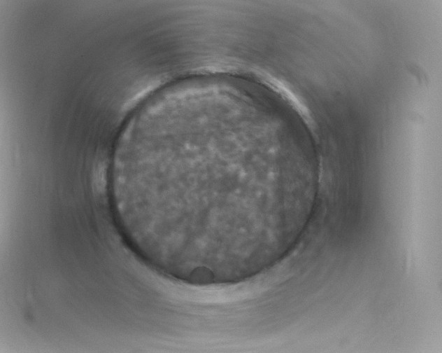 X0000115340010200911231442