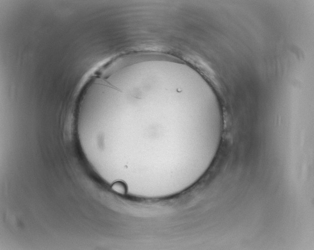 X0000115340012200911231442