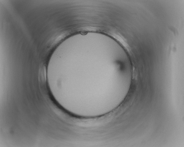 X0000115340013200911231442