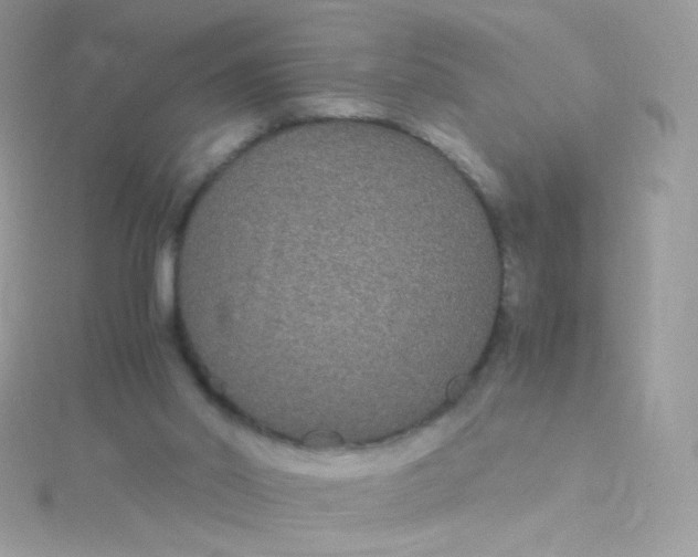 X0000115340014200911231442