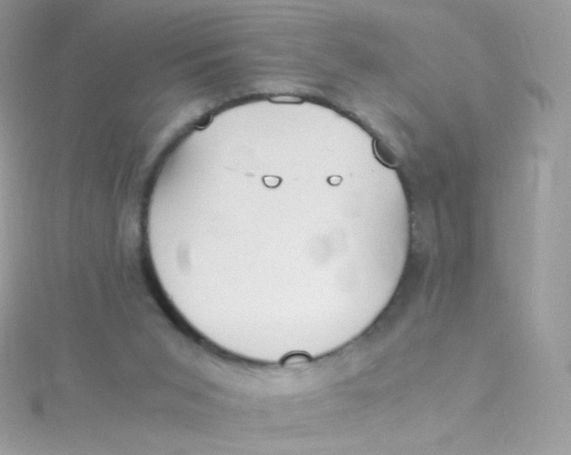 X0000115340015200911231442