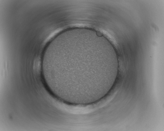 X0000115340016200911231442