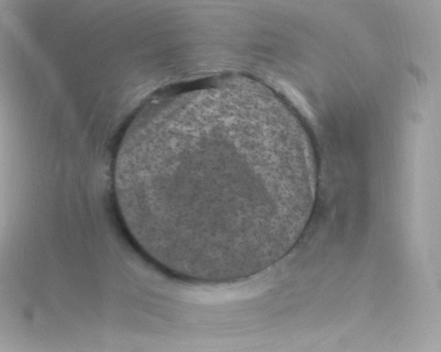 X0000115340017200911231442