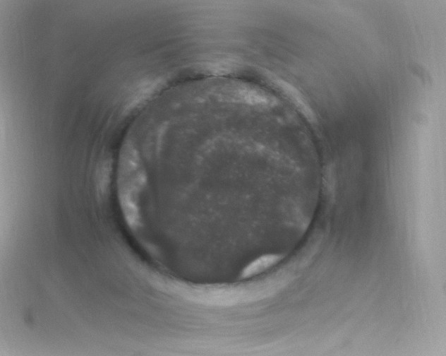 X0000115340018200911231442