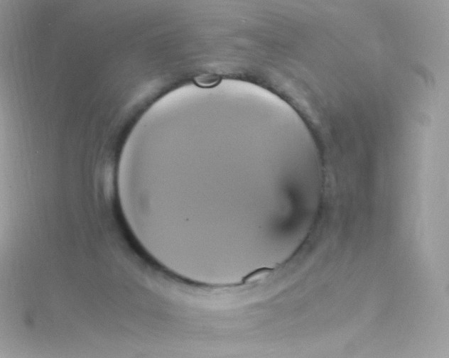 X0000115340019200911231442