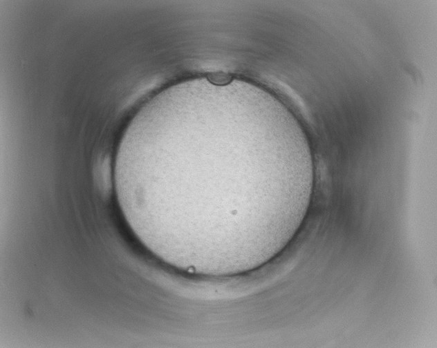 X0000115340020200911231442