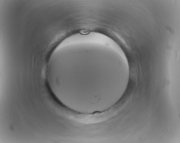 X0000115340023200911231442