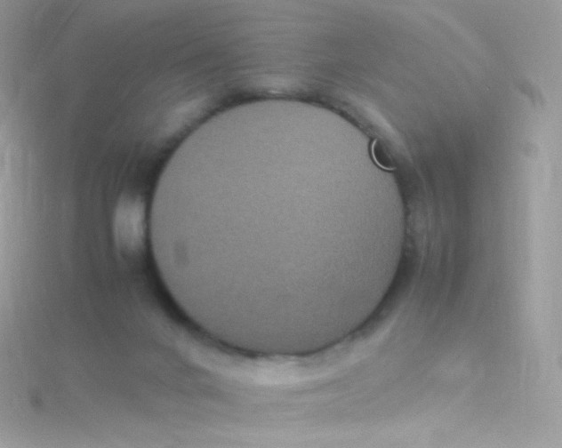 X0000115340024200911231442