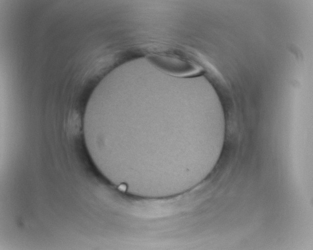 X0000115340025200911231442