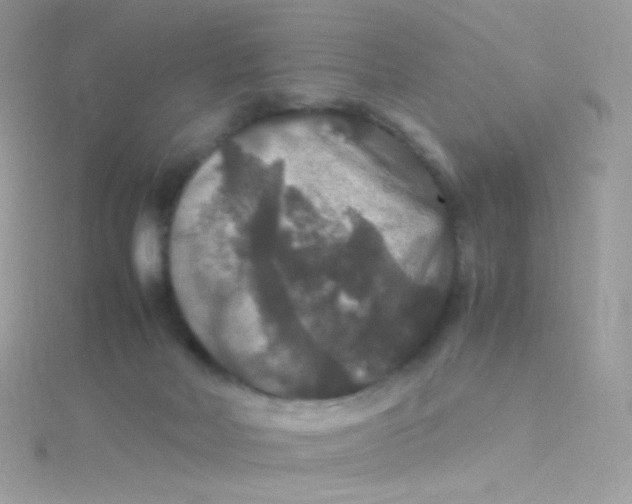 X0000115340026200911231442