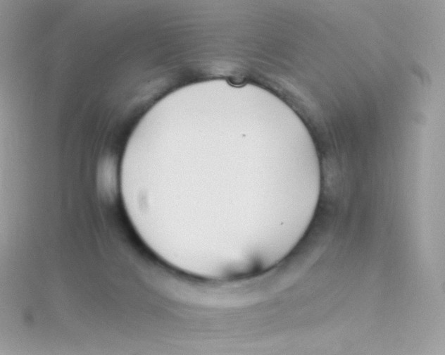 X0000115340028200911231442