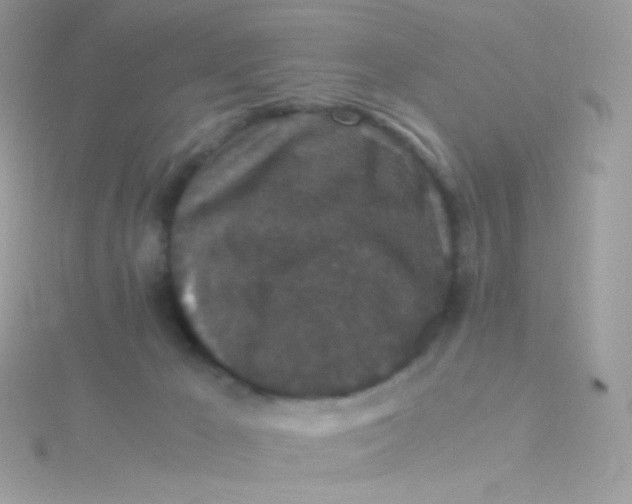 X0000115340029200911231442