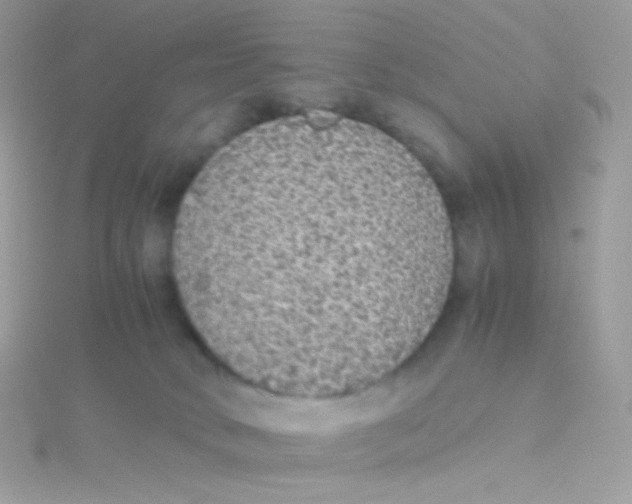 X0000115340034200911231442