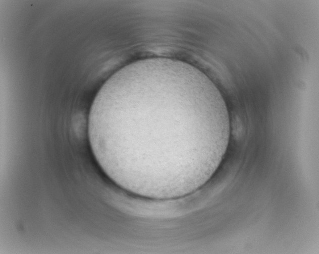 X0000115340036200911231442