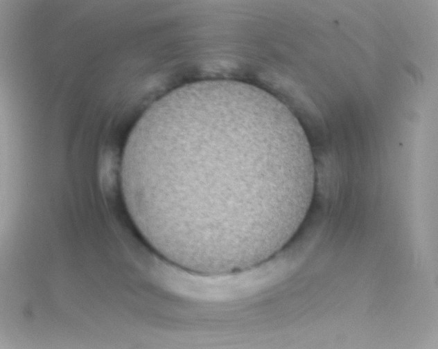 X0000115340038200911231442