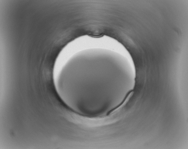 X0000115340039200911231442