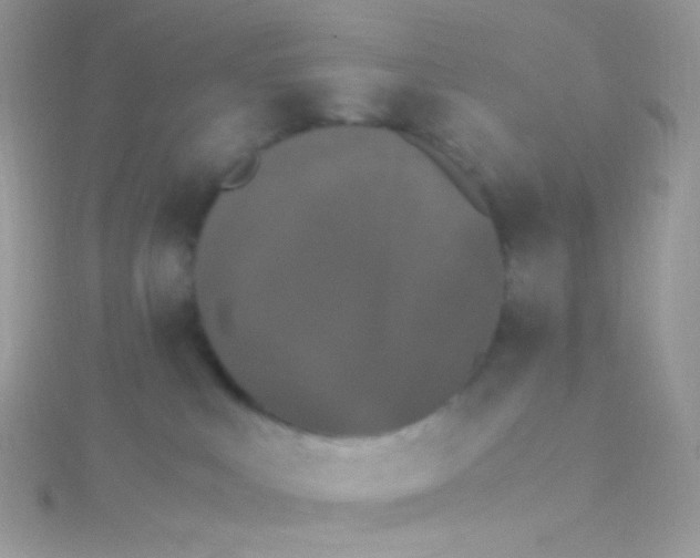 X0000115340043200911231442