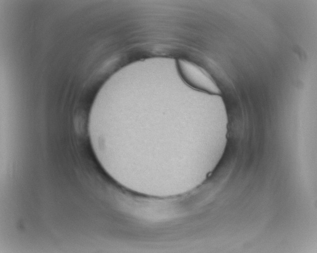 X0000115340044200911231442