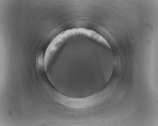 X0000115340046200911231442