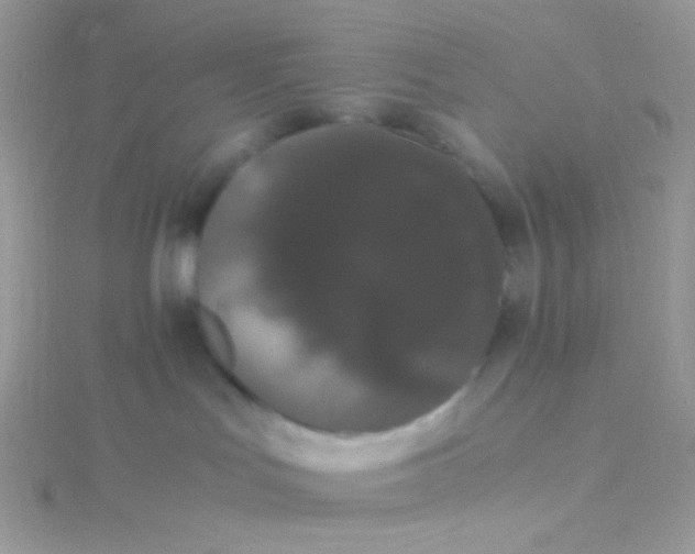 X0000115340047200911231442