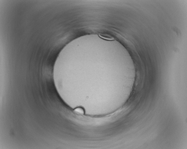 X0000115340048200911231442