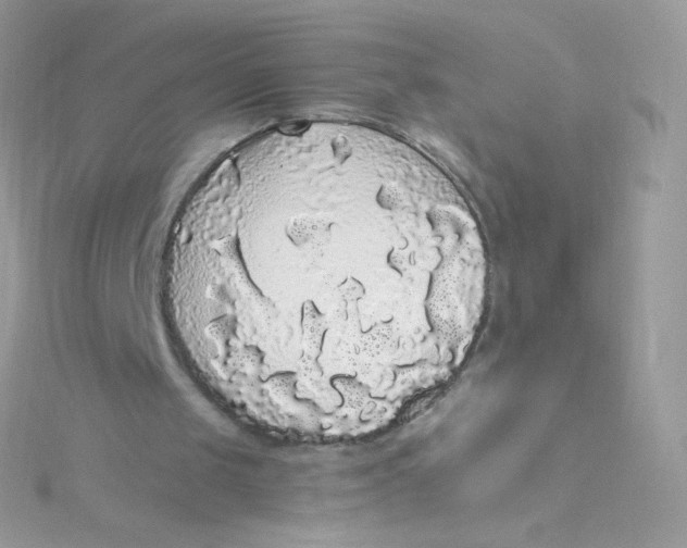 X0000115340049200911231441