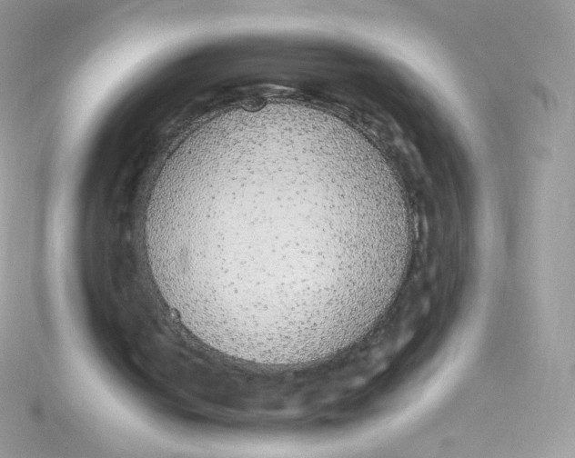 X0000115340050200911231441