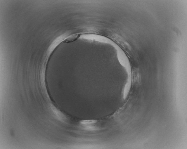 X0000115340051200911231441