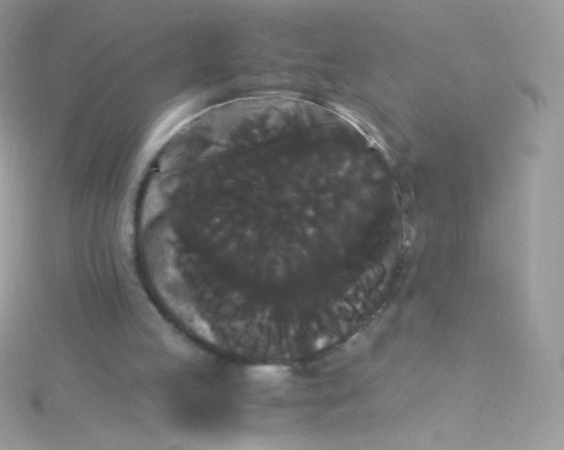 X0000115340053200911231441