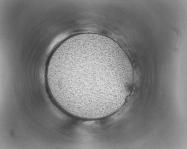 X0000115340054200911231441