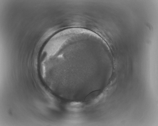 X0000115340055200911231441