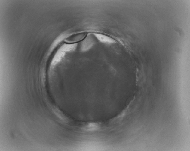 X0000115340056200911231441