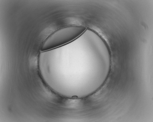 X0000115340057200911231441