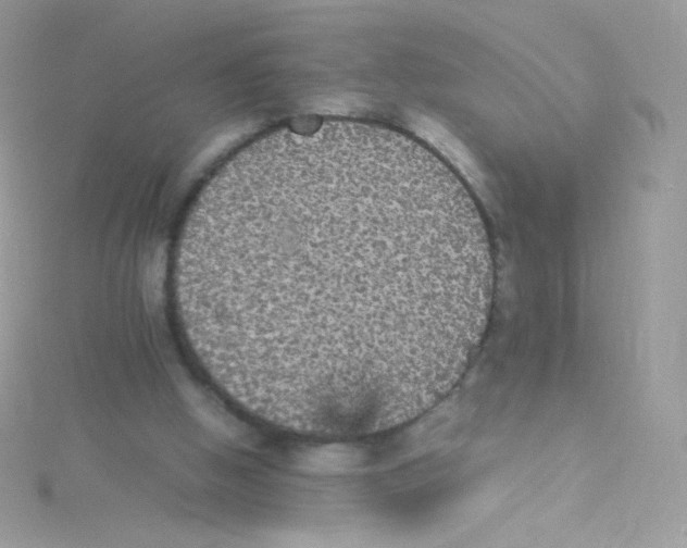 X0000115340058200911231441