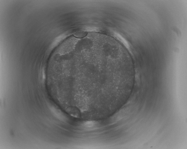 X0000115340059200911231441