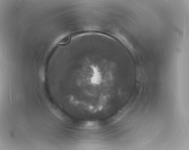 X0000115340060200911231441