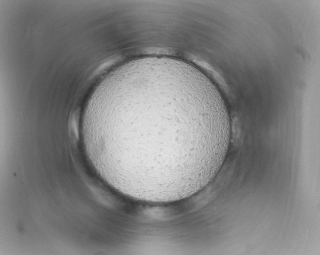 X0000115340062200911231441