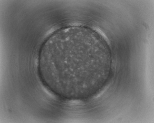 X0000115340063200911231441