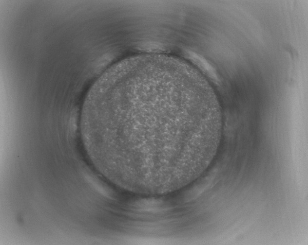 X0000115340065200911231442