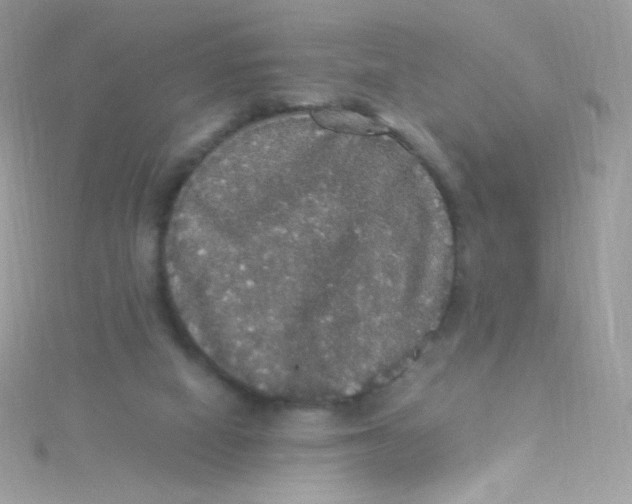 X0000115340066200911231442