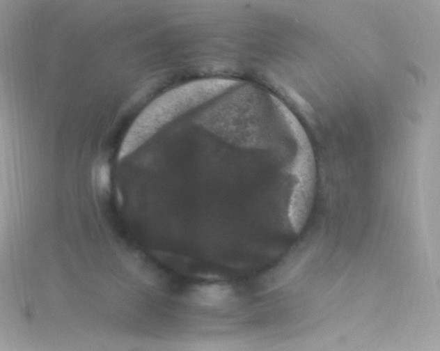 X0000115340067200911231442